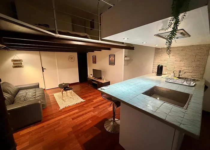 Le Loft Urbain - Clim - Saint-michel *