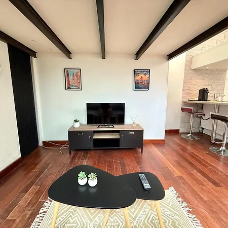 Le Loft Urbain - Clim - Saint-michel Apartment Toulouse