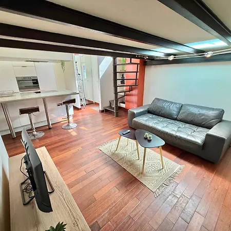 Le Loft Urbain - Clim - Saint-michel Apartment *