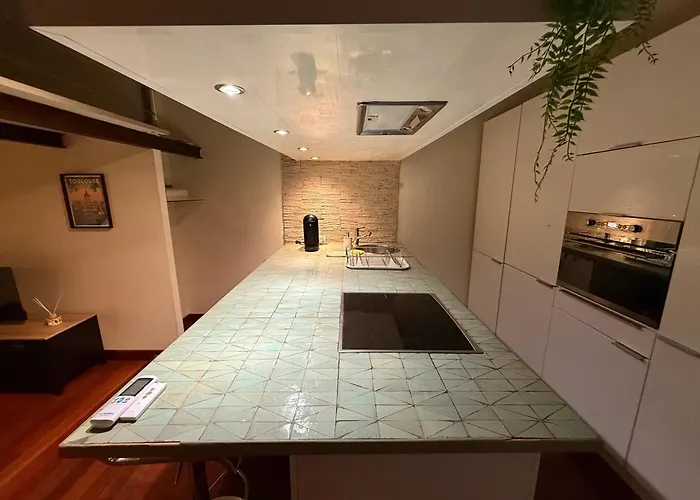 Le Loft Urbain - Clim - Saint-michel דירה טולוז